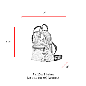 size chart Foil Euclid Backpack